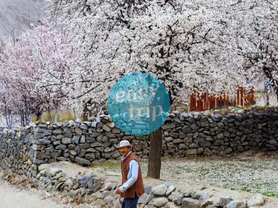 BLOOMING PAKISTAN