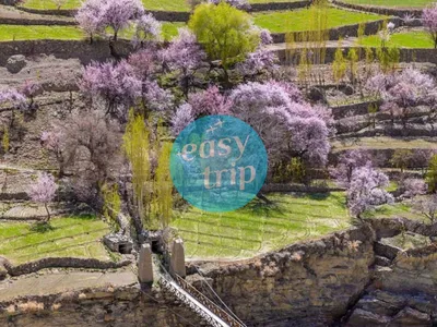 BLOOMING PAKISTAN