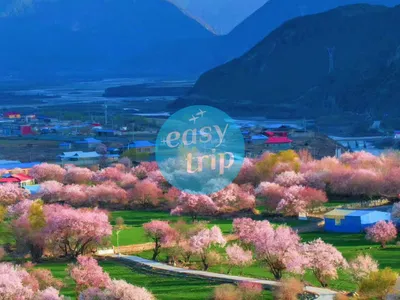 BLOOMING PAKISTAN