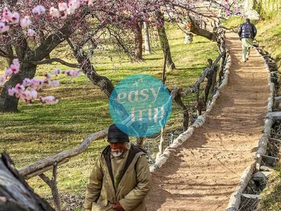 BLOOMING PAKISTAN
