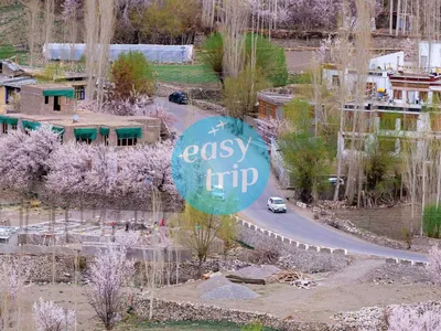 BLOOMING PAKISTAN
