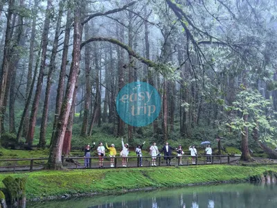 TAIWAN - THE GENTLE LAND (SPRING EDITION)