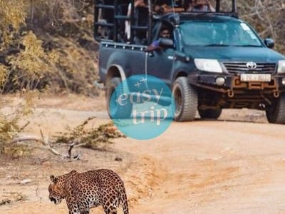 SRI LANKA - KHO BÁU NGỦ QUÊN