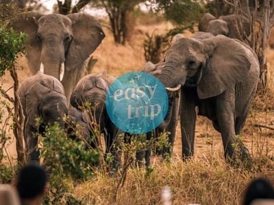SRI LANKA - KHO BÁU NGỦ QUÊN