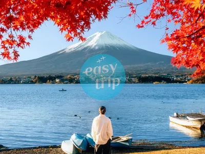 JAPAN FALLSCAPE