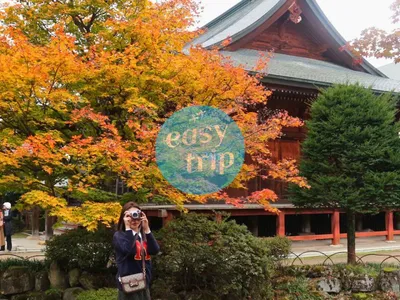 JAPAN FALLSCAPE