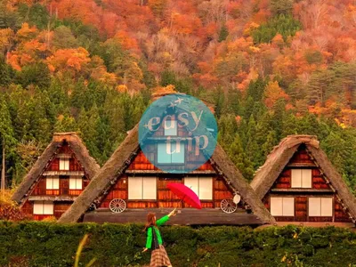 JAPAN FALLSCAPE