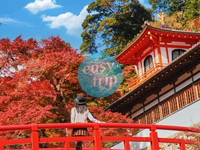 JAPAN FALLSCAPE