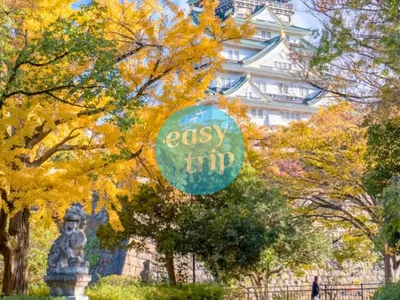 JAPAN FALLSCAPE