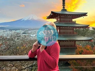 JAPAN FALLSCAPE