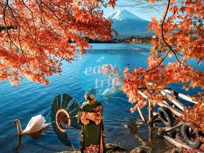 JAPAN FALLSCAPE