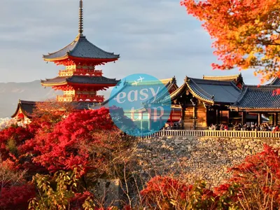 JAPAN FALLSCAPE