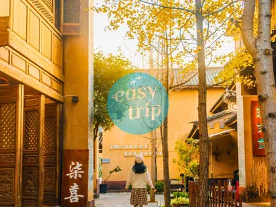 THE UNIQUE YUNNAN 2.0