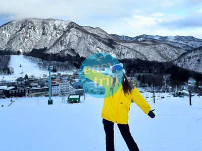 JAPAN EARLY WINTER