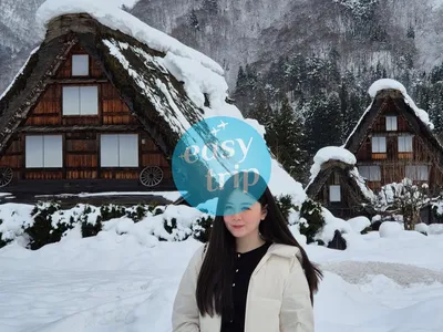 JAPAN EARLY WINTER