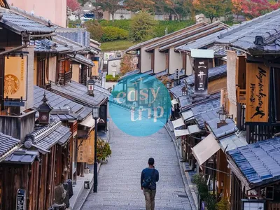 JAPAN EARLY WINTER