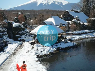 JAPAN EARLY WINTER