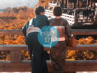 JAPAN EARLY WINTER