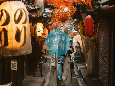 JAPAN EARLY WINTER