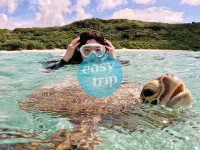 CEBU - OCEAN BLISS