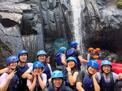 KOMODO DRAGON'S ISLAND