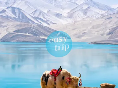 SOUTHERN XINJIANG - DIAMOND IN THE ROUGH 