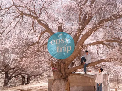 SOUTHERN XINJIANG - DIAMOND IN THE ROUGH 