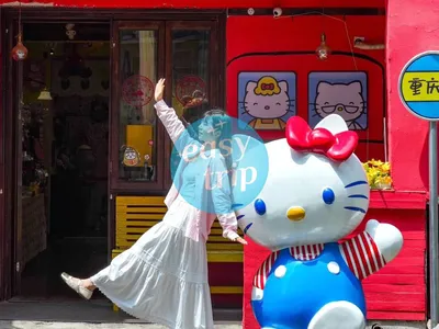 RISING SPIRIT OF CHINA