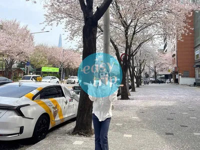 KOREA - SPRING EDITION