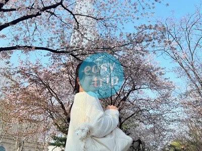 KOREA - SPRING EDITION