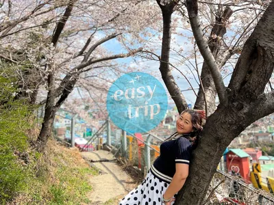 KOREA - SPRING EDITION