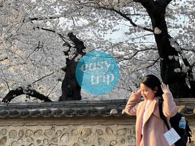 KOREA - SPRING EDITION