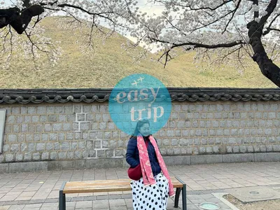 KOREA - SPRING EDITION