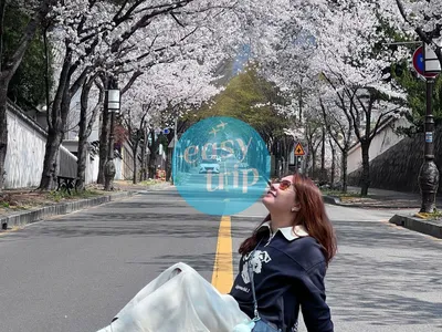 KOREA - SPRING EDITION