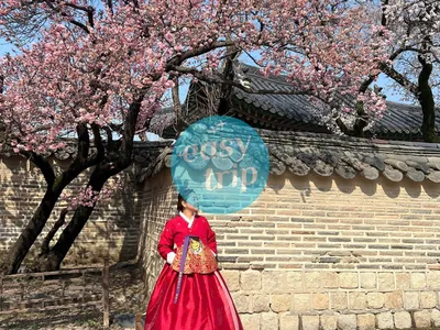 KOREA - SPRING EDITION