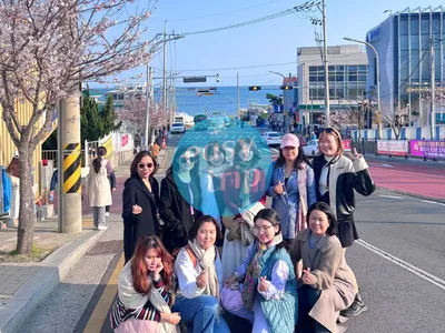 KOREA - SPRING EDITION