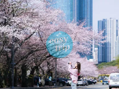 KOREA - SPRING EDITION