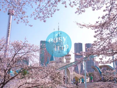 KOREA - SPRING EDITION