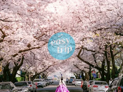 KOREA - SPRING EDITION