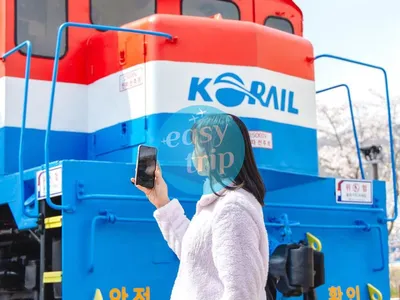 KOREA - SPRING EDITION