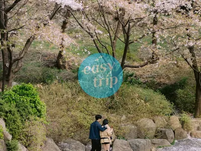 KOREA - SPRING EDITION