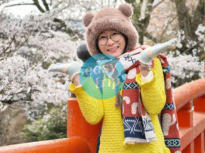 JAPAN GOLDEN ROAD - SAKURA 2026