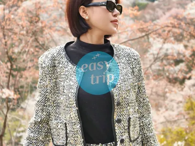 JAPAN GOLDEN ROAD - SAKURA 2026