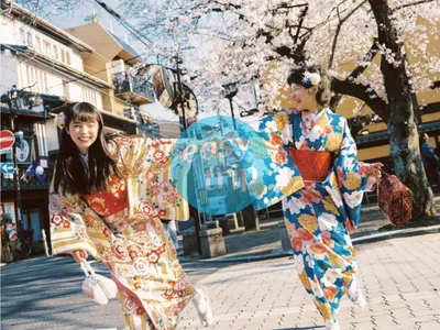 JAPAN GOLDEN ROAD - SAKURA 2026