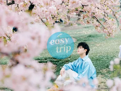 JIANGNAN SPRING POETRY