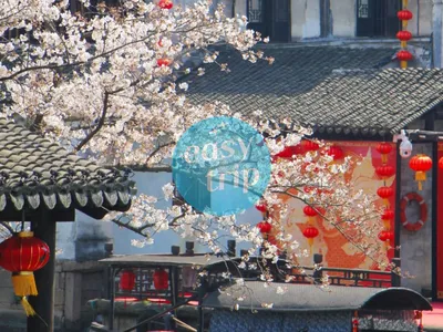 JIANGNAN SPRING POETRY