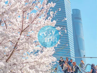 JIANGNAN SPRING POETRY