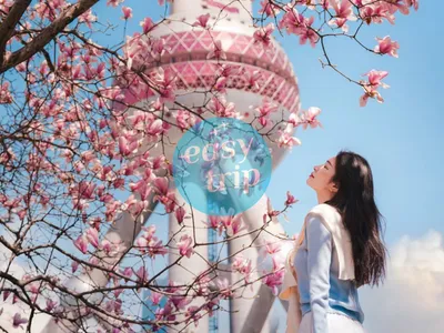 JIANGNAN SPRING POETRY