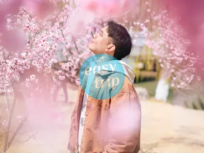 JIANGNAN SPRING POETRY