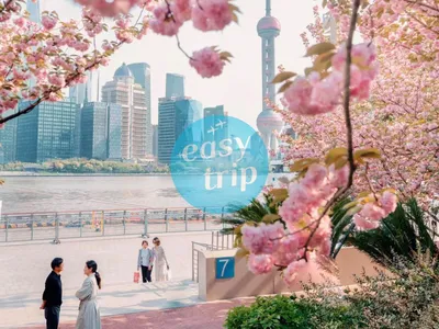 JIANGNAN SPRING POETRY